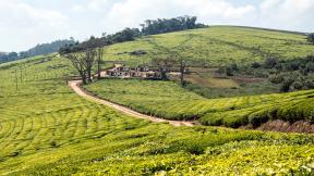 LandPropertyRightsFinancialFrictionsAndResourceAllocationInDevelopingCountries.jpeg