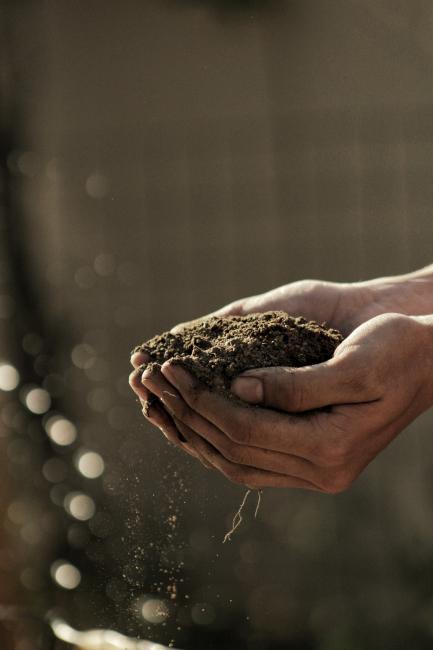 Theme 3 - Agriculture